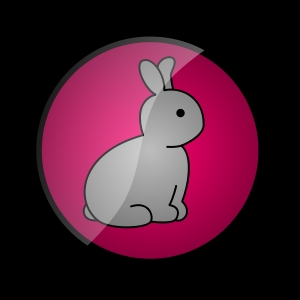 rabbit